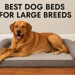 Best Dog Beds for Large Breeds