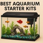 Best Aquarium Starter Kits